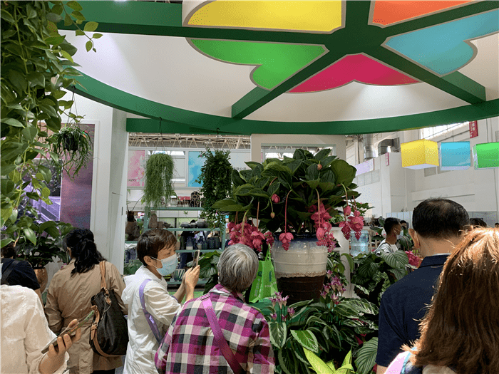 鮮花做土、藍莓做餃，火出圈的異形盛宴——北京國際花展亮點盤點