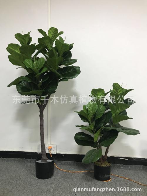 綠意永駐 高仿真琴葉榕——現(xiàn)代家居美學(xué)的理想之選